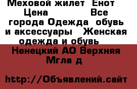 Меховой жилет. Енот. › Цена ­ 10 000 - Все города Одежда, обувь и аксессуары » Женская одежда и обувь   . Ненецкий АО,Верхняя Мгла д.